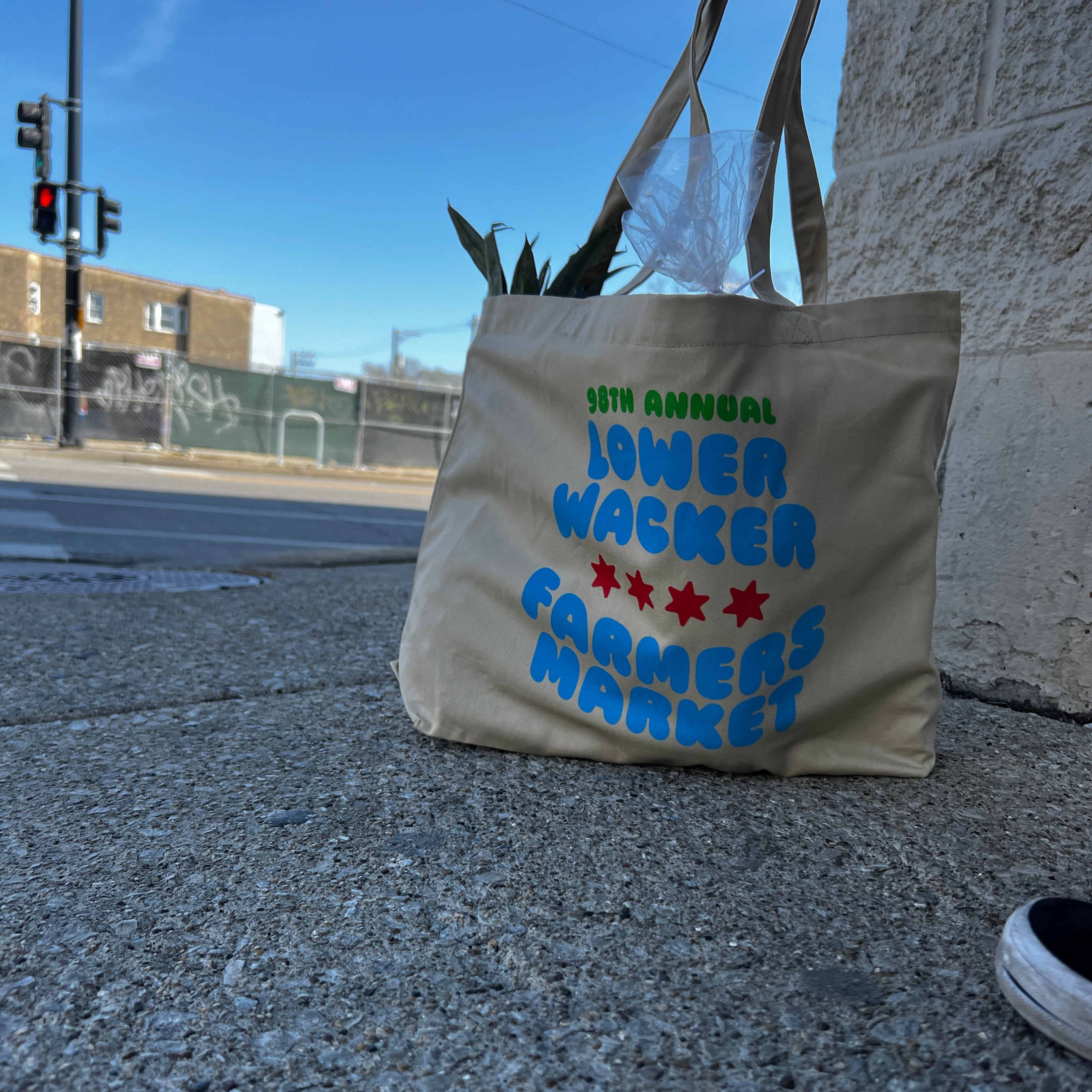 Committee For A Lower Wacker – No Laws On Lower Wacker
